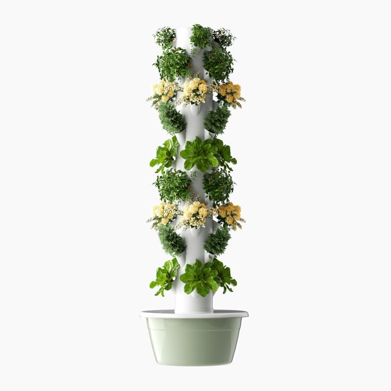 Torre di Coltivazione Idroponi - Planted Tank recensione e prezzo