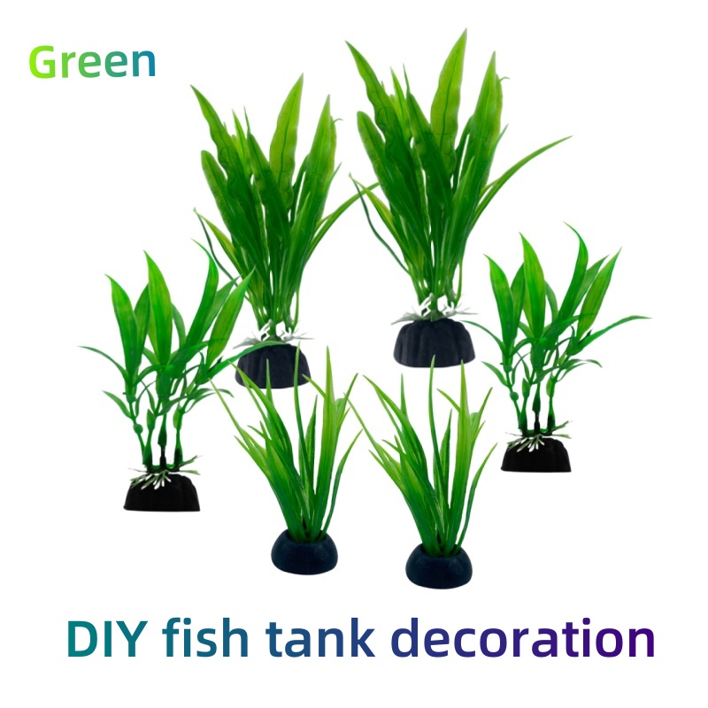 6 pezzi confezioni di piante d - Live Plant Aquarium recensione e prezzo