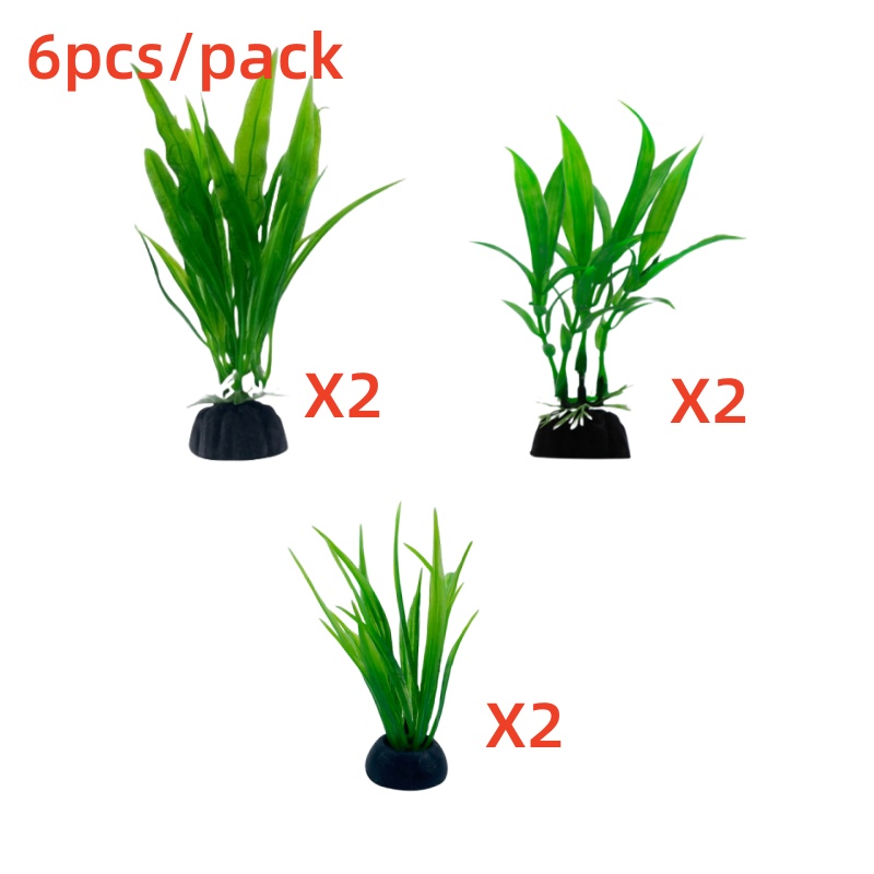 6 pezzi confezioni di piante d - Live Plant Aquarium recensione e prezzo